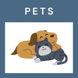 Pets Storytime Kit Pets Storytime Kit