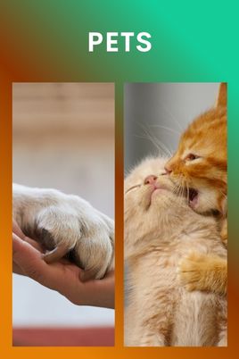 Memory Kit Memory Kit